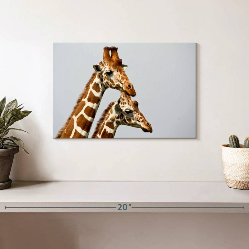 Brampt, girafes de Somali, H 8 po x l 12 po