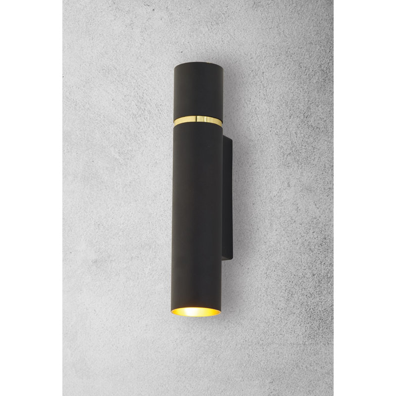 Lynx Wall Sconce