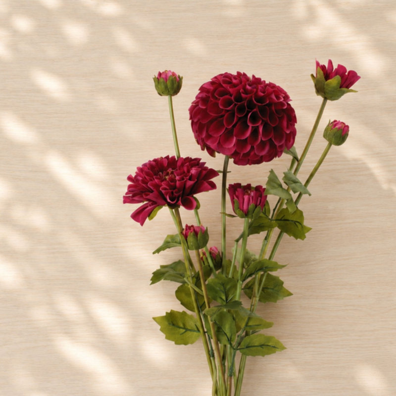 Ensemble de fleurs Zinnia (ensemble de 2), Mauve, vert