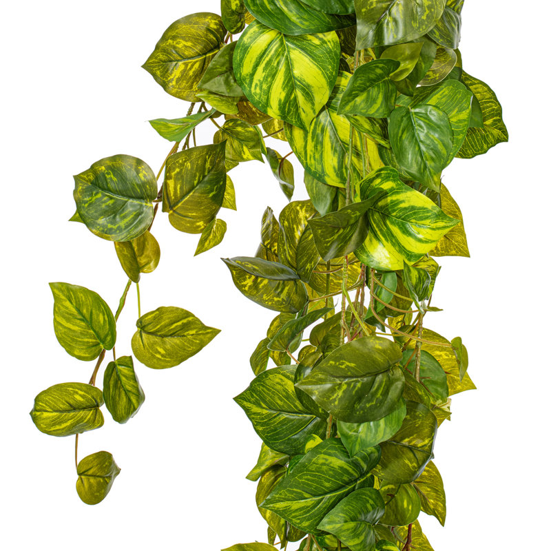 Arrangement