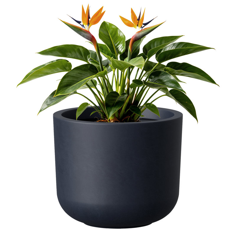 13 Inch Round Concrete Planter with Drainage Hole, Charcoal Gray, Charcoal Gray, 11.22" H x 13.19" W x 13.19" D
