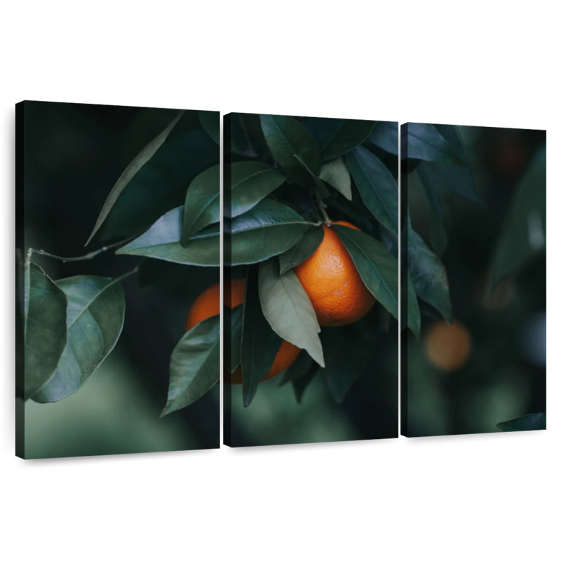 Harnek Ripe Orange, 42" H x 65" W