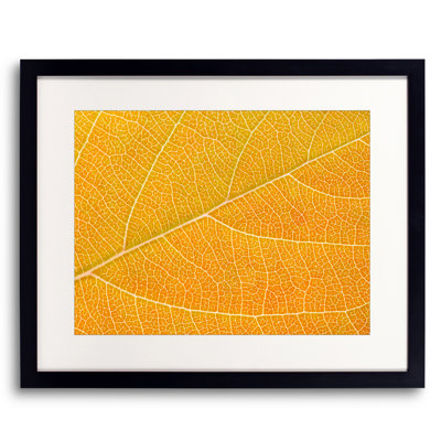 Autumn Leaf Print by Philippe Monthoux