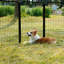 Parc pour chien pliable en métal robuste sans porte (ensemble de 2)-110945434-110945432