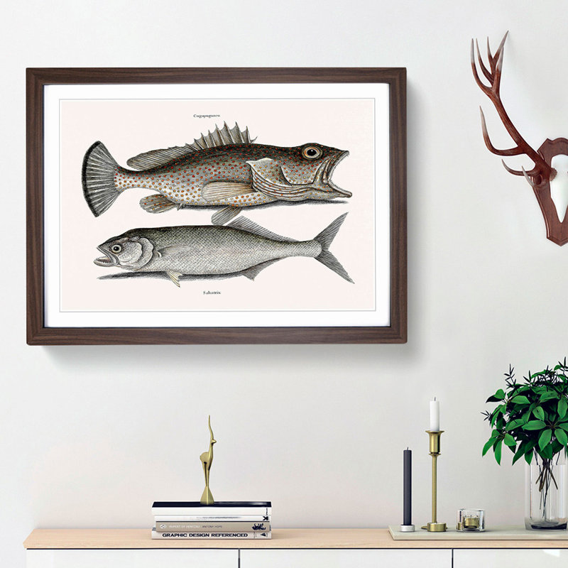 Skipjack & Hind Fish by Mark Catesby - Picture Frame Painting Print, Walnut Framed, 27cm H x 36cm W x 2cm D