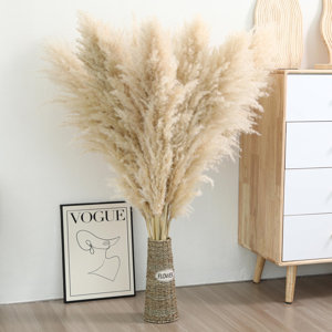 46'' Pampas Grass Plant