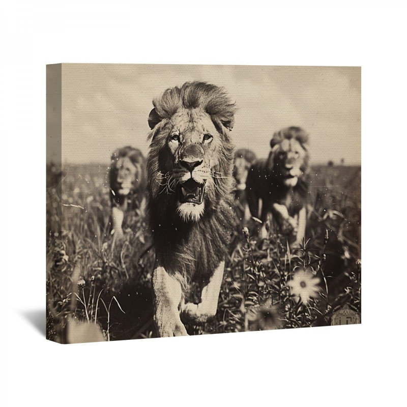 Lions sur toile, H 32 po x l 32 po