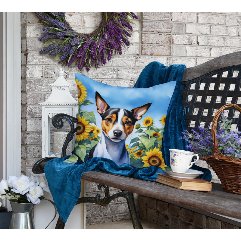 Other/No Pattern Outdoor Throw Pillow, 18"H x 18"W