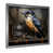 Silver Single Picture Framed sélectionné