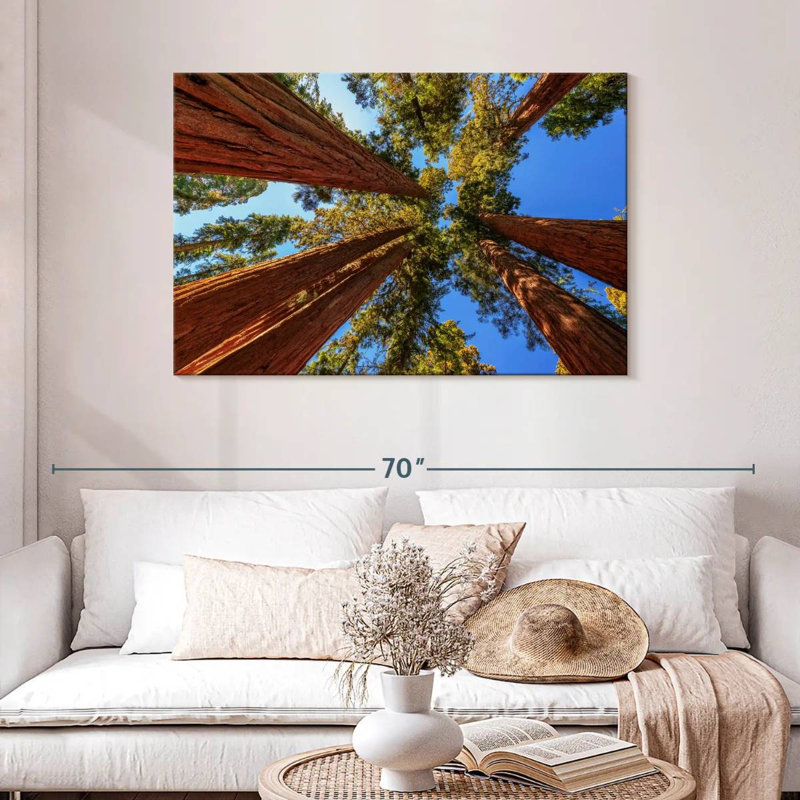 Harnek domine les arbres du parc Sequoia