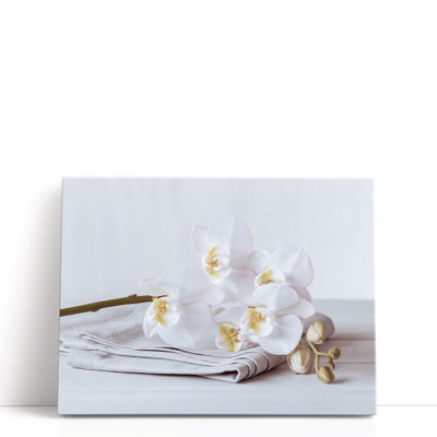 Orchids - Canvas Print Wall Art