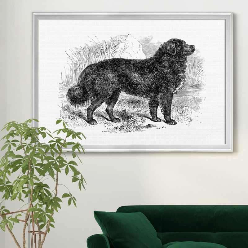 « Terre-Neuve »-impression sur toile, H 36 po x l 24 po x P 1 po, Toile tendue