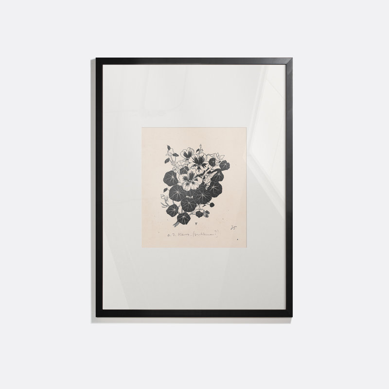 Drawing Of Nasturtiums Print by Henri Verstijnen