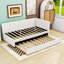 Modern Upholstered Daybed with Twin Trundle-764000458-764344253