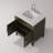 Laurel 30 in W x 22 in D Single Bath Vanity and Faucet Set-113358397-104783371
