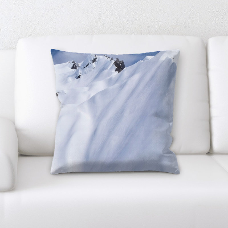 Microsuede Reversible Throw Pillow