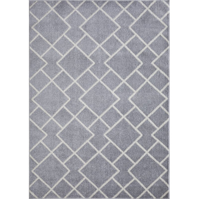 Christine Bleyana Gray Area Rug