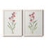 Delicate Pink I - ensemble de 2 peintures sur toile encadrées-992947488-992947489
