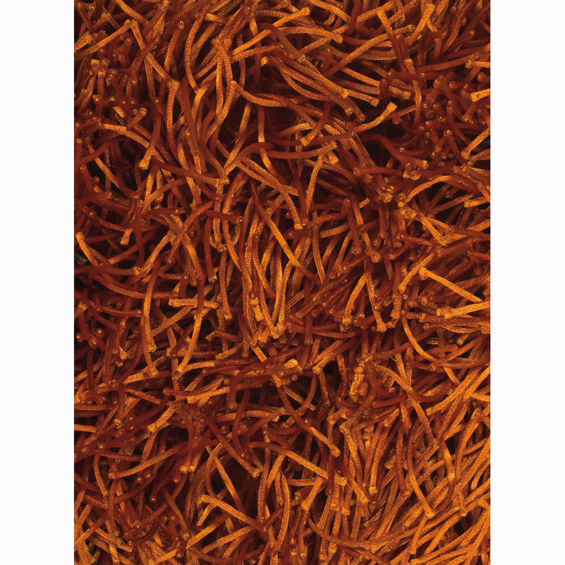 Baptista Performance Indoor Rug, Rectangle 9' x 13'