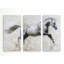 Gallop-multi-pièces sur toile tendue-23818386