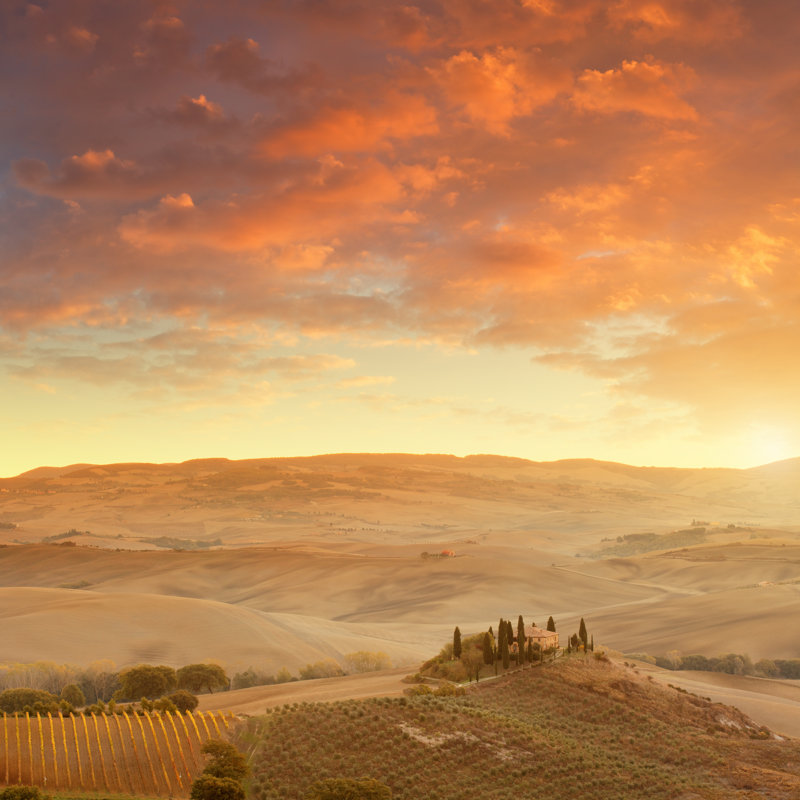 Farm In Tuscany by Mammuth - No Frame Print on Canvas, 76cm H x 76cm W