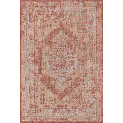 Outdoor Nile Area Rug Rust Color