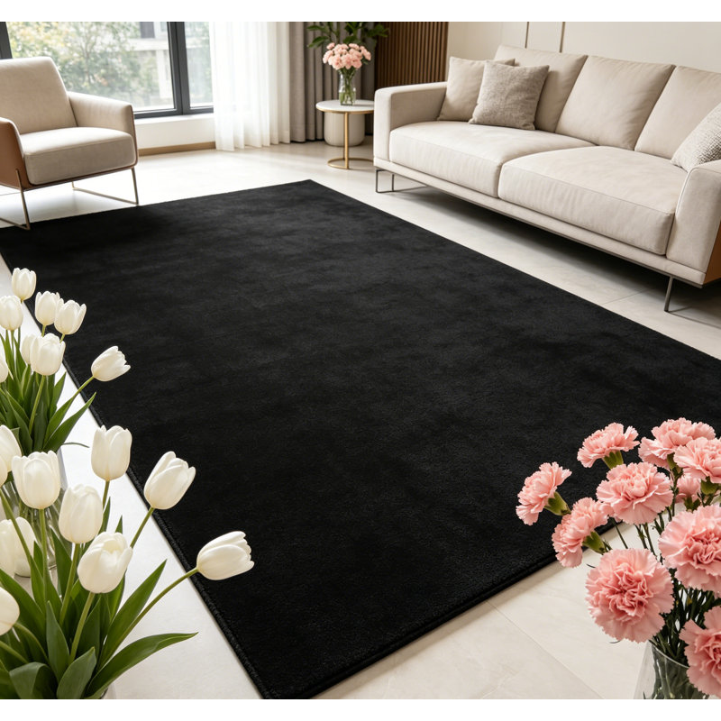 Area Rug 5x7 Modern Solid Textured Machine Washable Rug Contemporary Carpet Rug Foldable Stain Resistant Non Slip Accent Rug for Living Room Dining Room Decor, Black/ 5'× 7'