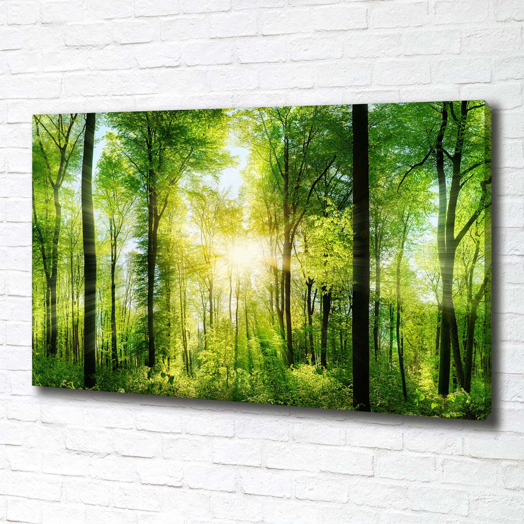 Wald in der Sonne - Kunstdrucke auf Leinwand - Wrapped Canvas