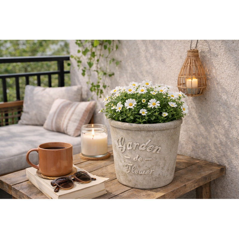 6 po Jardin et fleurs Vasum