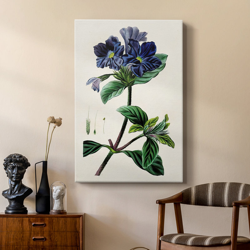AntiqueFloralFolioIV - galerie Cavas sur mesure, H 60 po x l 40 po