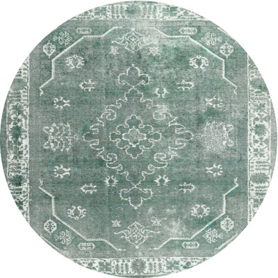 Oriental Indoor Rug