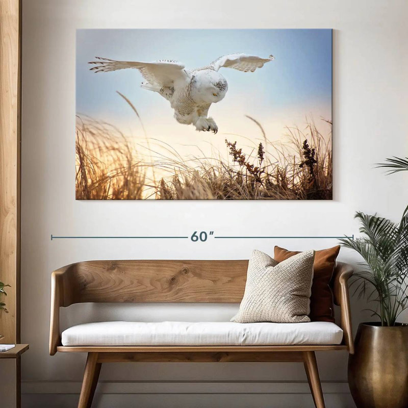 Chouette des neiges volant Brampt