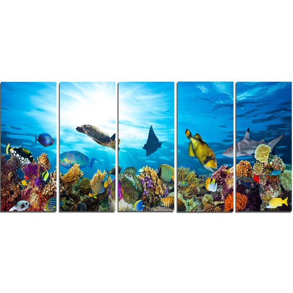 Bay Isle Home Colorful Coral Reef With Fishes On Canvas 5 Pieces Print ...