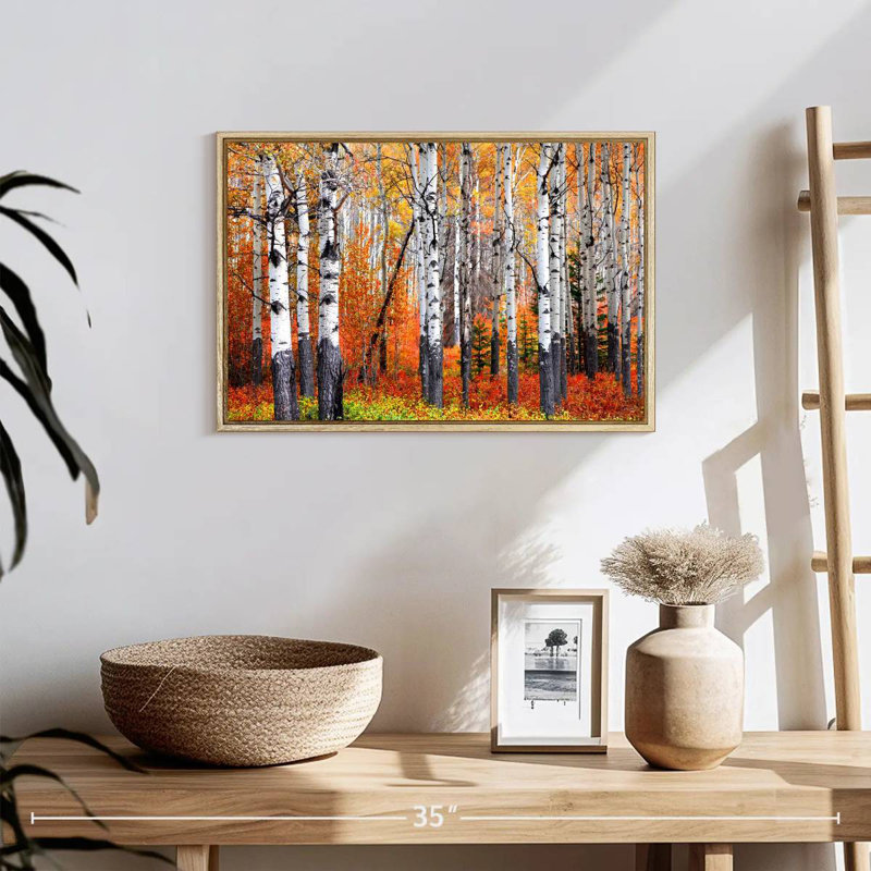 Forêt de trembles de Banff, 19 po x 13 po, Cadre flottant en bois naturel