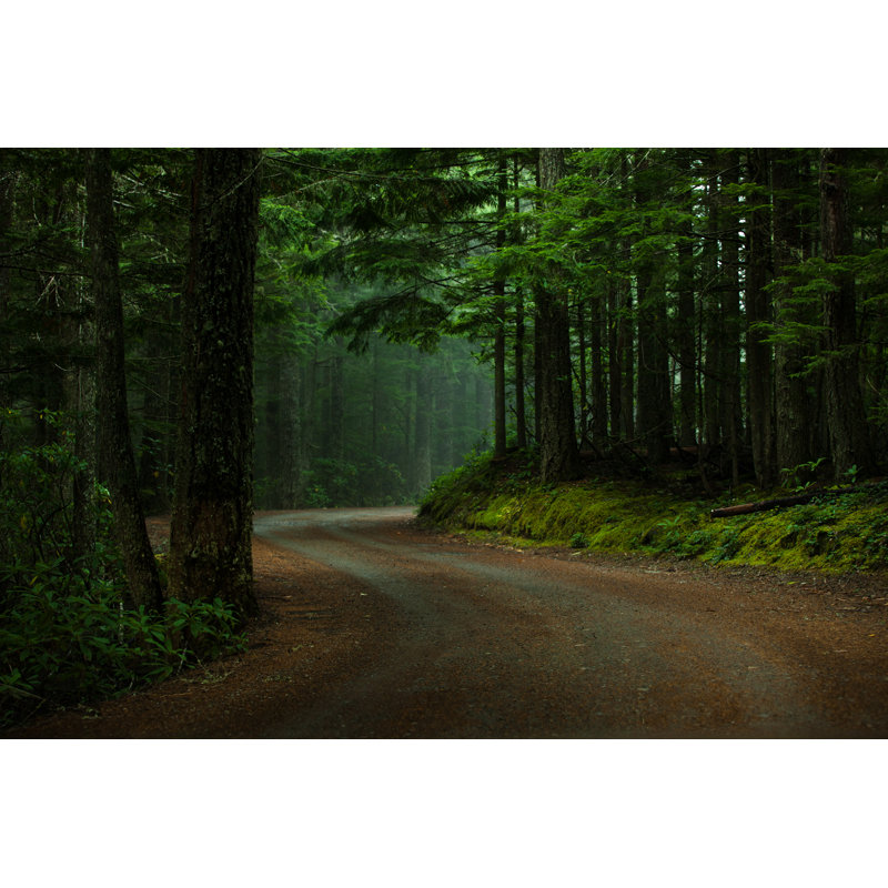 Forêt sombre par Andipantz, H 8 po x l 12 po