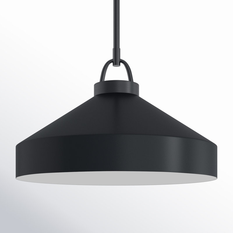 Orion 1 - Light Dome Pendant, 49.25" H x 16" W x 16" D, Black