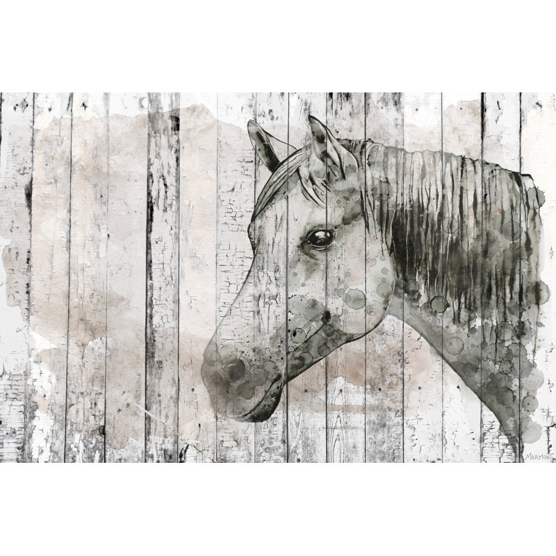 Horse Face - Wrapped Canvas Print, 66cm H x 101cm W x 3.81cm D
