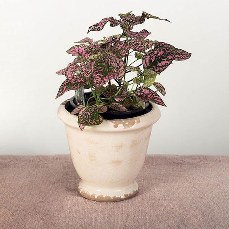 Cache-pot en céramique Aaryav
