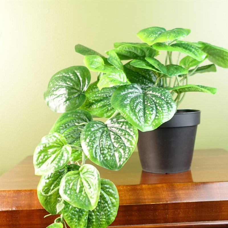 35cm Faux Plant in Pot Liner, Green