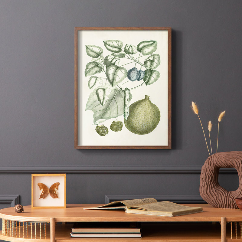 «Buchoz Tropicals», reproduction encadrée en bois massif, Brun, H 14 po x l 11 po