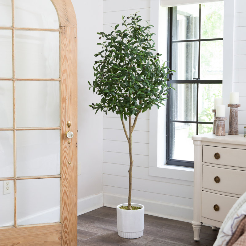 Yost 72'' Faux Olive Tree Tree in Ceramic Planter