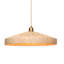 Parasol 1 - Light Pendant-329281826