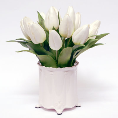 Tulip Plant in Canister Vase