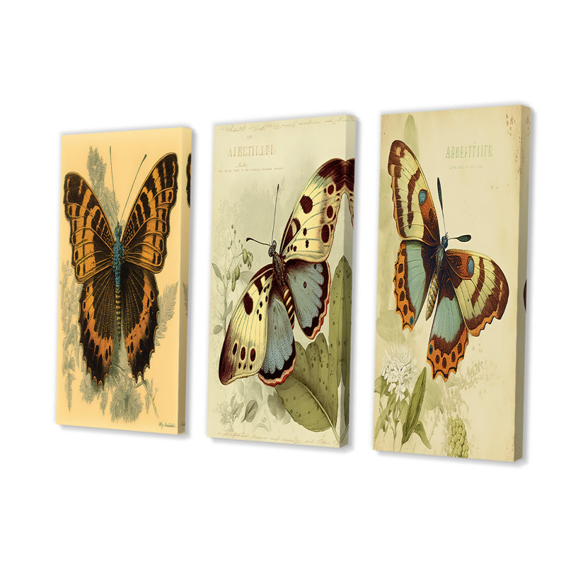 Illustration rétro de papillon II, 3 pièces, H 28 po x l 36 po x P 1 po