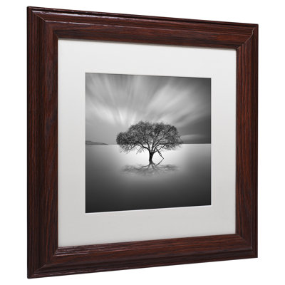 « water tree viii » par moises perçu, reproduction de photo encadrée