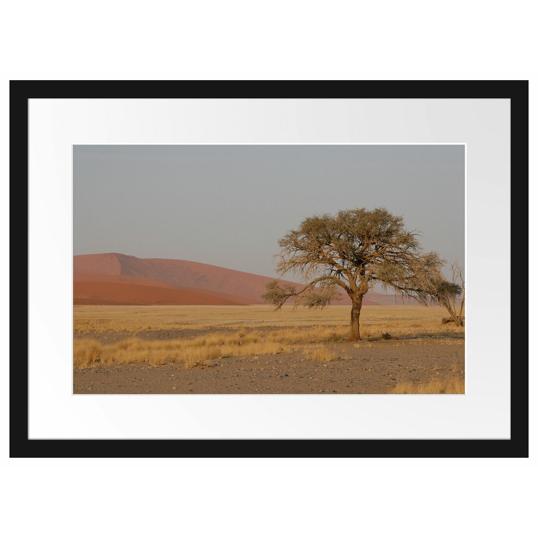 Gerahmtes Poster Einzelner Baum in Wüste