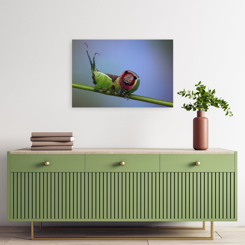 Curious Green Caterpillar Colorful Vibrant Contemporary Animal Nature Wall Art Print by Jimmy Hoffman - Print