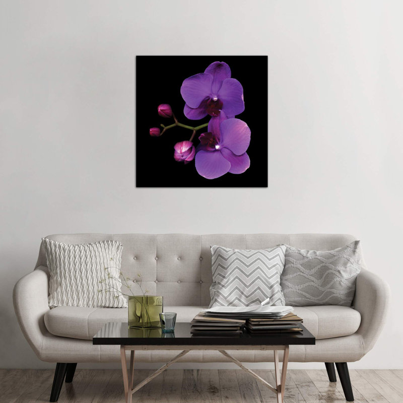 The Color Purple by Magda Indigo - Wrapped Canvas Print, 66.04 cm H x 66.04 cm W x 3.175 cm D