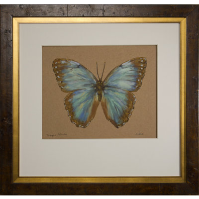Morpho Peleides Print by Acker