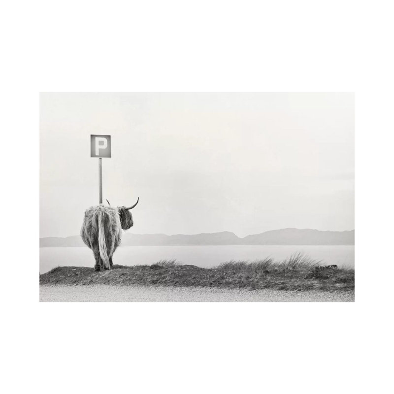 Highland Visitor by Dorit Fuhg - Print on Canvas, Wrapped Canvas, 20.32 cm H x 30.48 cm W